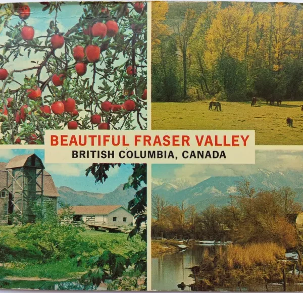 Vintage Fraser Valley Postcard BC Canada | 1970s Scenic Travel Airmail Card | Lush Farms, Mountains, Horses, Apple Trees