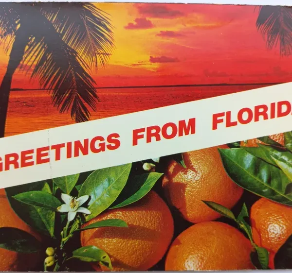 Vintage Florida Postcard 1970s | Orlando Sunset & Oranges | Mailed to UK | Retro Travel Ephemera | US Stamps | Collectible Card