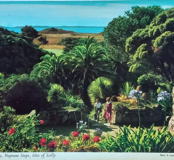 Vintage 1960s Tresco Gardens Postcard, Isles of Scilly, John Hinde, Neptune Steps, British Travel, Handwritten, UK Stamp